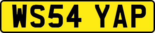 WS54YAP