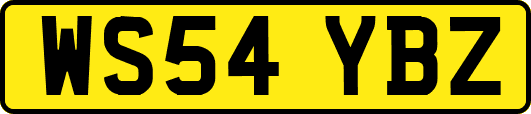 WS54YBZ