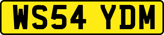 WS54YDM
