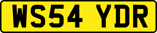 WS54YDR