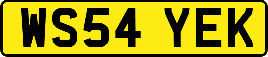 WS54YEK