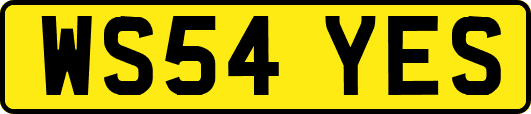 WS54YES