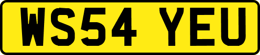 WS54YEU
