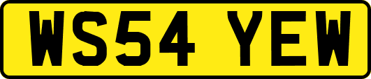 WS54YEW