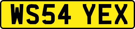 WS54YEX