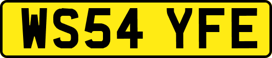 WS54YFE