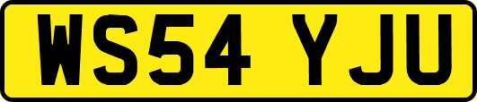 WS54YJU