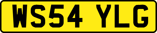 WS54YLG