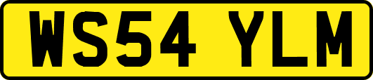 WS54YLM