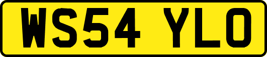 WS54YLO