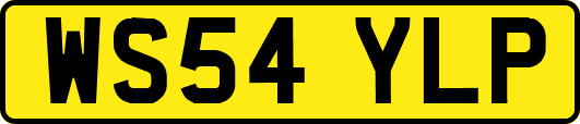 WS54YLP