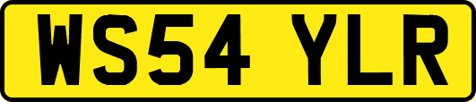 WS54YLR