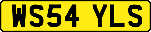 WS54YLS