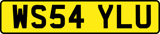 WS54YLU