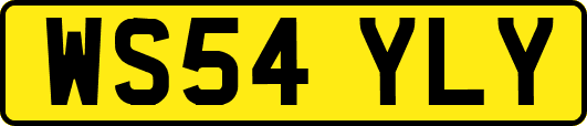 WS54YLY