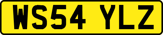 WS54YLZ