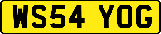 WS54YOG