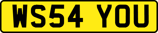WS54YOU