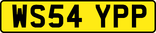 WS54YPP