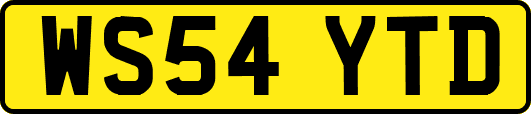 WS54YTD
