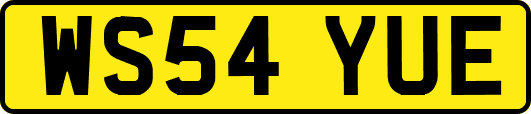 WS54YUE