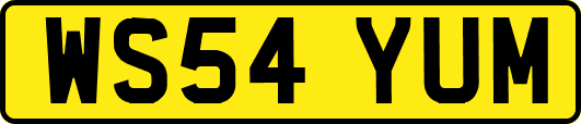 WS54YUM
