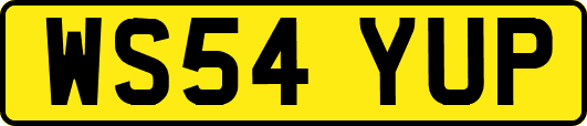 WS54YUP
