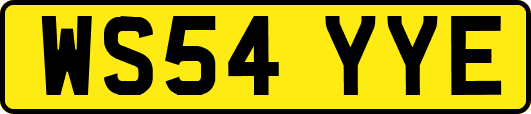 WS54YYE