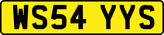 WS54YYS