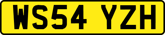WS54YZH
