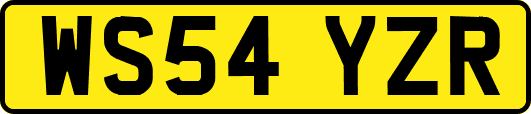WS54YZR