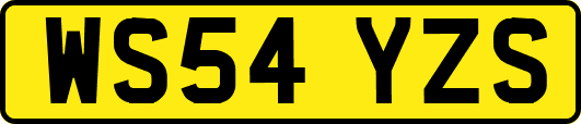 WS54YZS