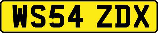 WS54ZDX