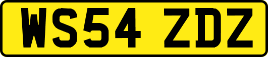 WS54ZDZ