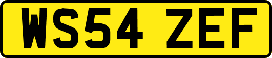 WS54ZEF
