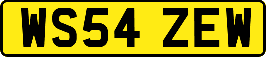 WS54ZEW