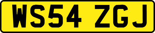 WS54ZGJ