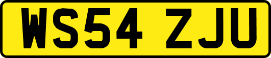 WS54ZJU