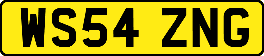 WS54ZNG