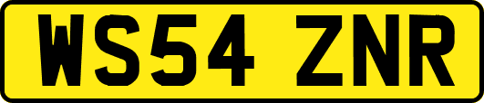 WS54ZNR