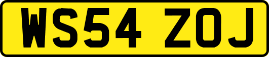 WS54ZOJ