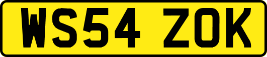 WS54ZOK