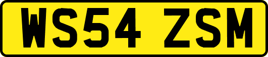 WS54ZSM