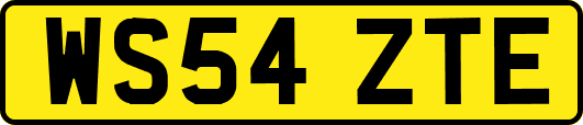 WS54ZTE