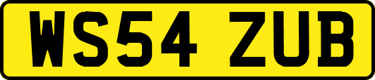 WS54ZUB