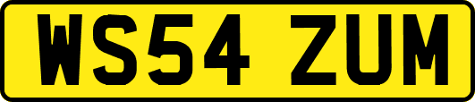 WS54ZUM