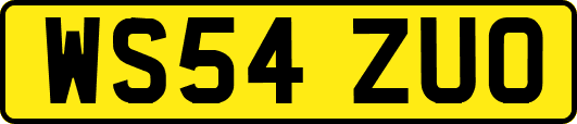 WS54ZUO