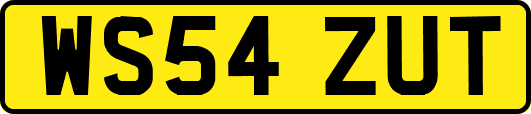 WS54ZUT