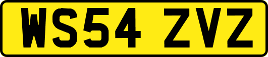 WS54ZVZ
