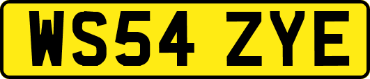 WS54ZYE